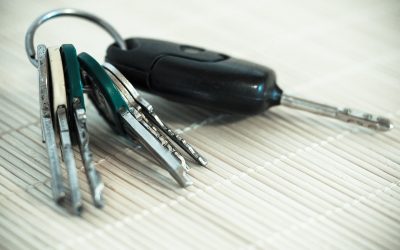 La location d’une voiture à Saint-Luce, en Martinique