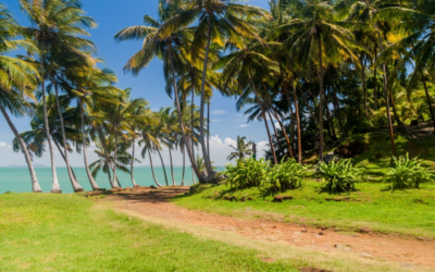 Exploration sauvage en Guyane : Les meilleurs 4×4 tout-terrain pour l’aventure